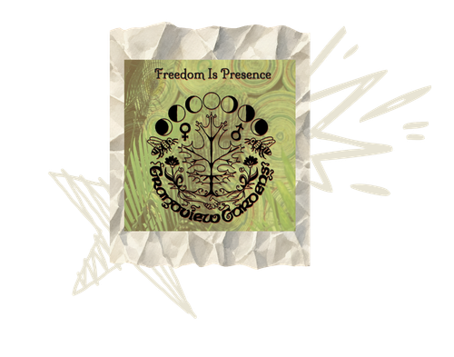Freedom Is Presence community offering
